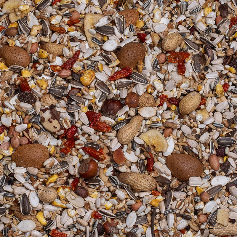 Load image into Gallery viewer, Deli Nature Exquisit Nuts Parrot Treat

