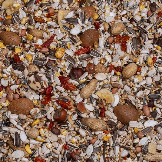 Deli Nature Exquisit Nuts Parrot Treat
