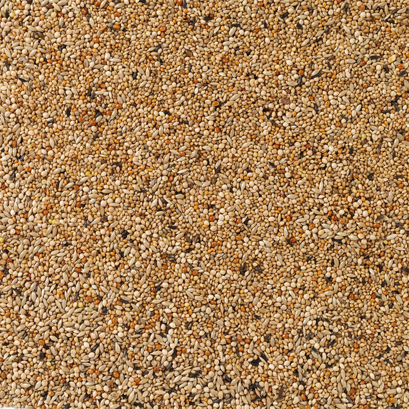 Load image into Gallery viewer, Deli Nature Premium Foreign Finch Seed Mix
