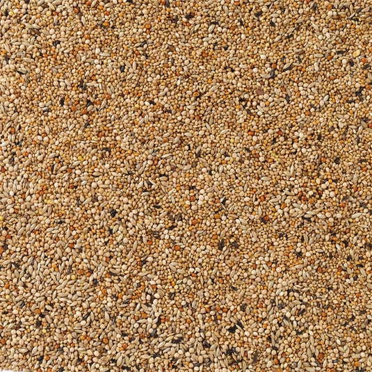 Deli Nature Premium Foreign Finch Seed Mix