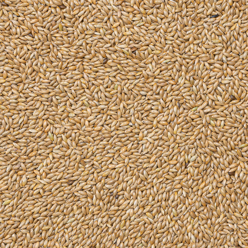 Load image into Gallery viewer, Deli Nature Supreme Canary Seed Mix

