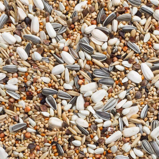 Deli Nature Large Parakeet Seed Mix with Sunflower Seeds 20kg