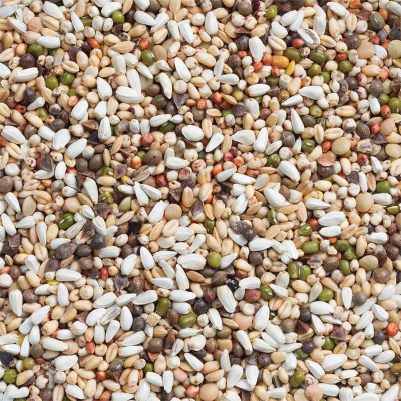 Load image into Gallery viewer, Deli Nature Sprouting Seeds for Large Parakeets &amp; Parrots 15kg
