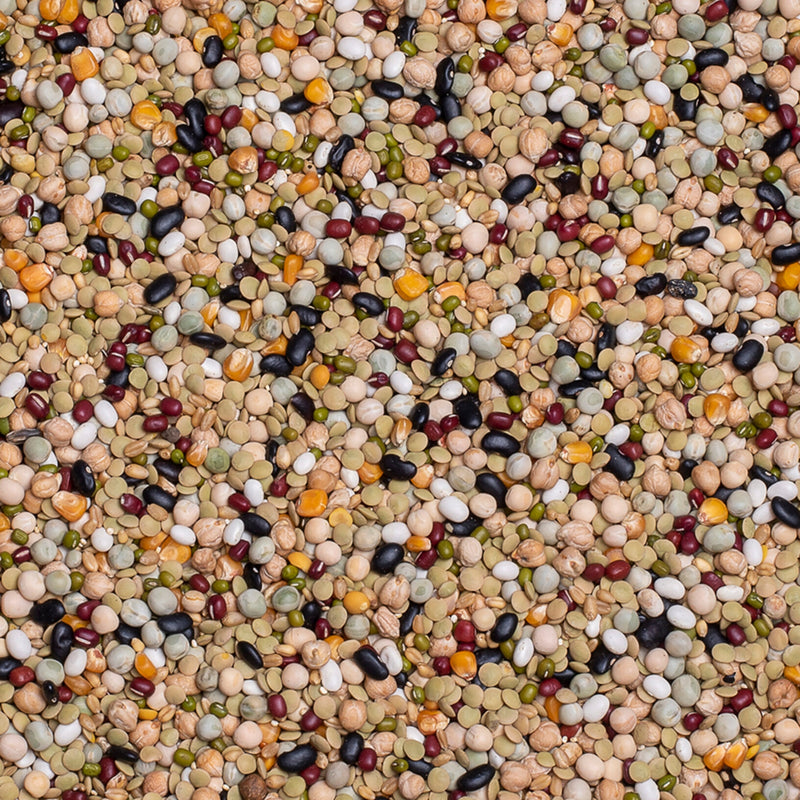 Load image into Gallery viewer, Deli Nature Cooking Mix for Parrots 15kg

