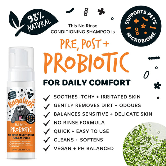 Bugalugs Pre, Post + Probiotic No Rinse Dog Shampoo 200ml