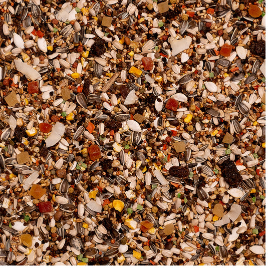 Deli Nature Premium Parrot Seed Mix