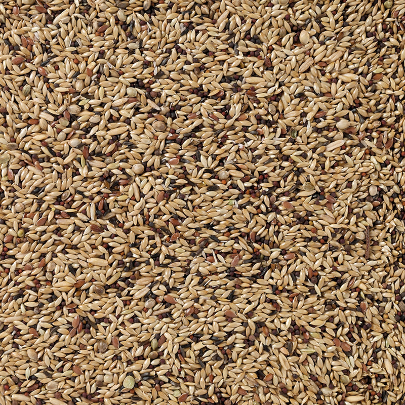 Load image into Gallery viewer, Deli Nature Premium Canary Seed Mix
