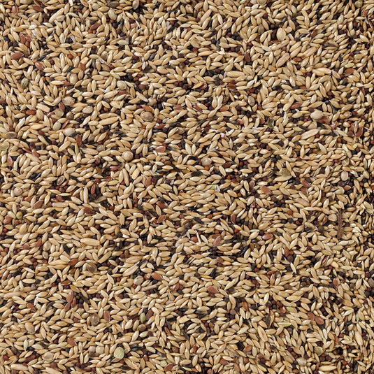 Deli Nature Premium Canary Seed Mix
