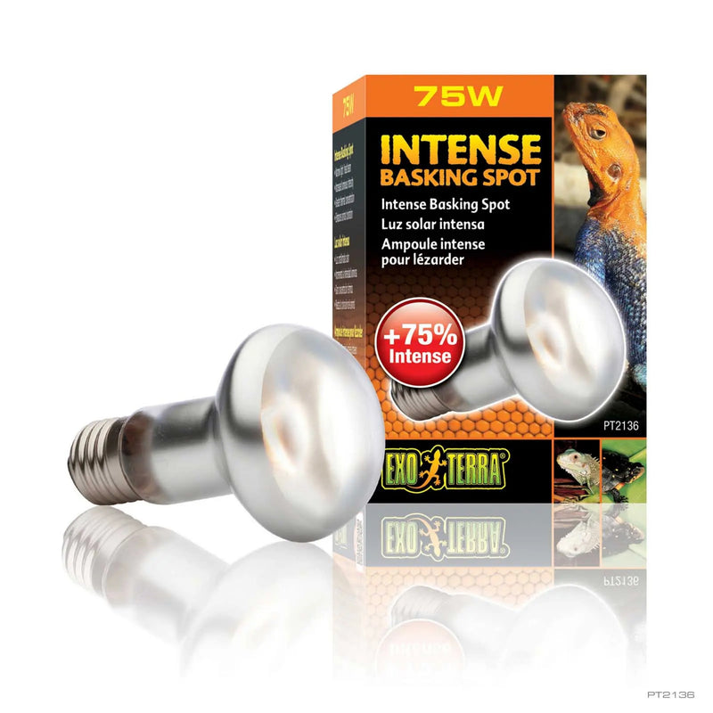 Load image into Gallery viewer, Exo-Terra Intense Basking Spot Reptile Heat Lamp Bulb

