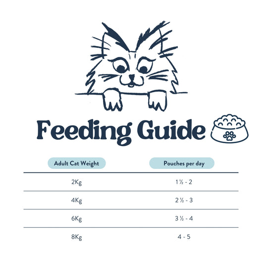 Feeding Guide