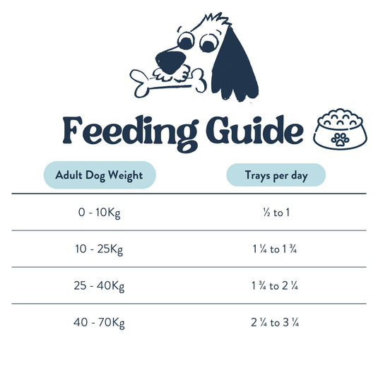 Feeding Guide