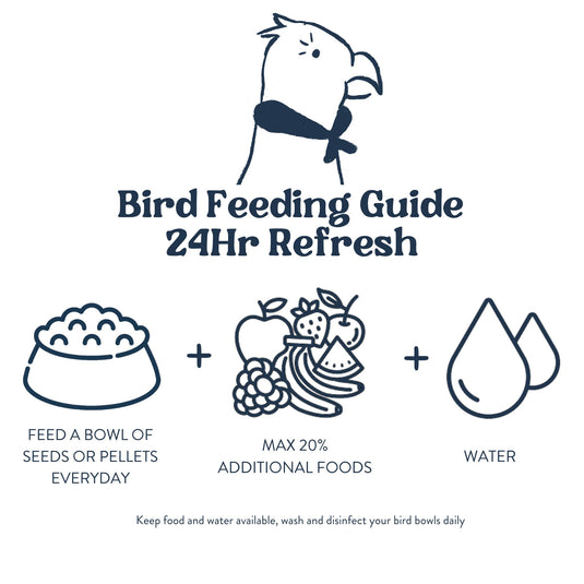 Feeding Guide