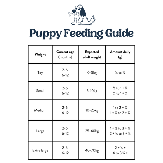 Feeding Guide