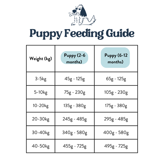 Feeding Guide