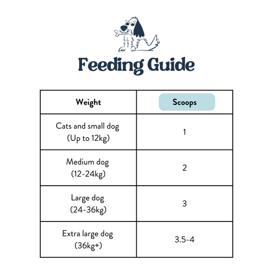 Feeding Guide