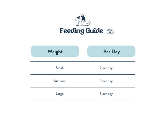 Feeding Guide