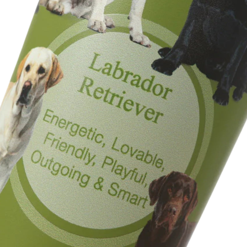 Load image into Gallery viewer, George Barclay Labrador Retriever Tumbler For Hot &amp; Cold Drinks 500ml
