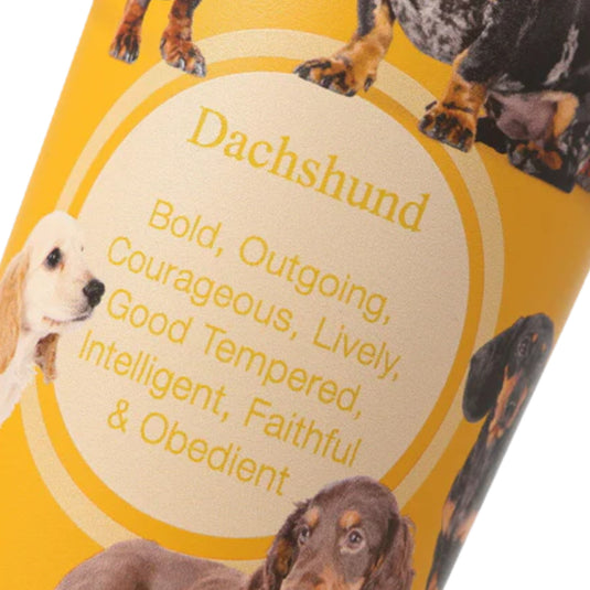 George Barclay Dachshund Tumbler For Hot & Cold Drinks 500ml