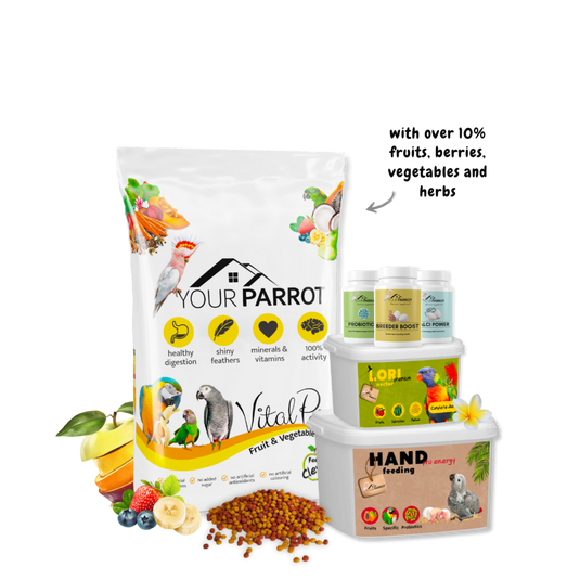 NEW Parrot Food