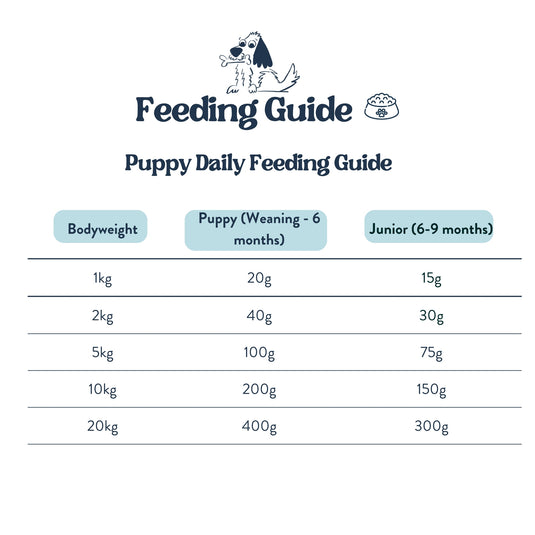 Feeding Guide