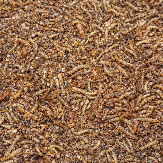 Your Parrot Insect Pâtée for Parrots & Exotic Birds