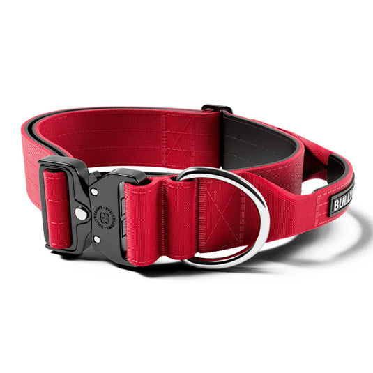 Bully Billows Combat Collar 5cm Width