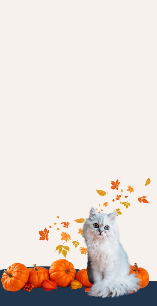 Howl-o-ween Fun Awaits!