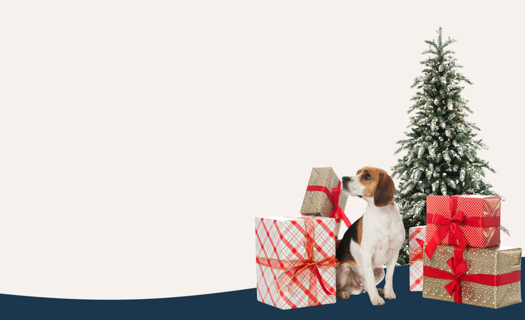 Paw-fect Christmas Magic Awaits!