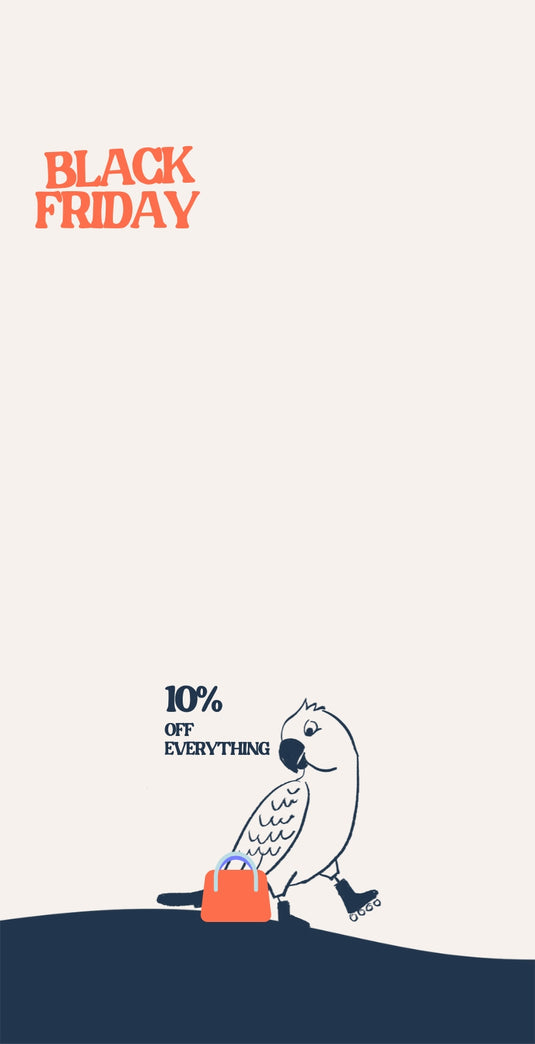 Black Friday: BIG Savings