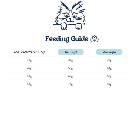 Feeding Guide