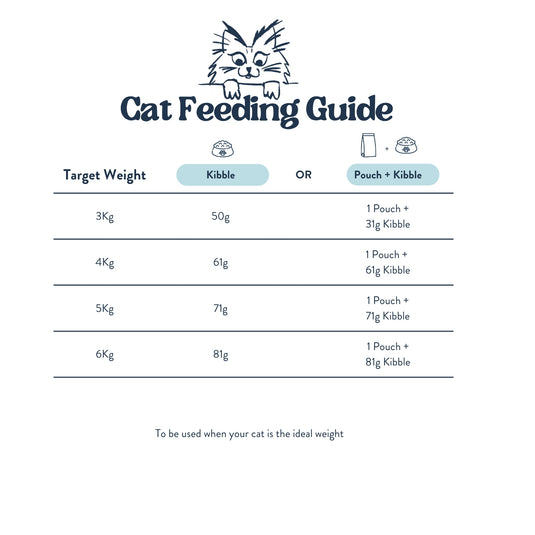 Feeding Guide