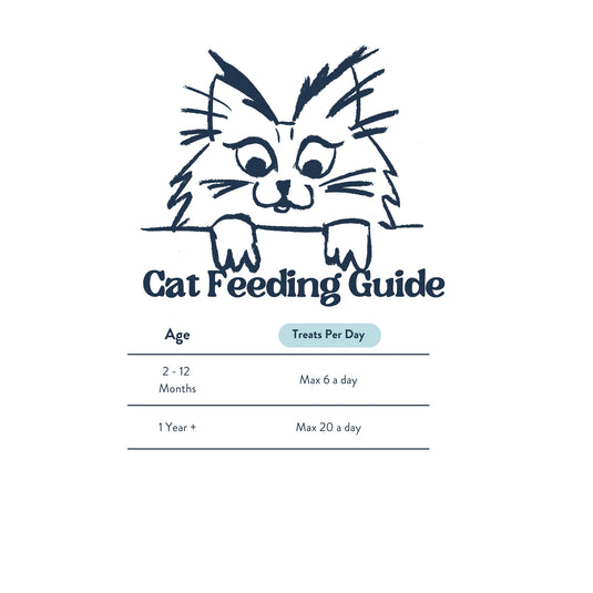 Feeding Guide