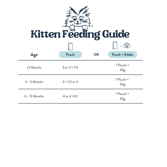 Feeding Guide