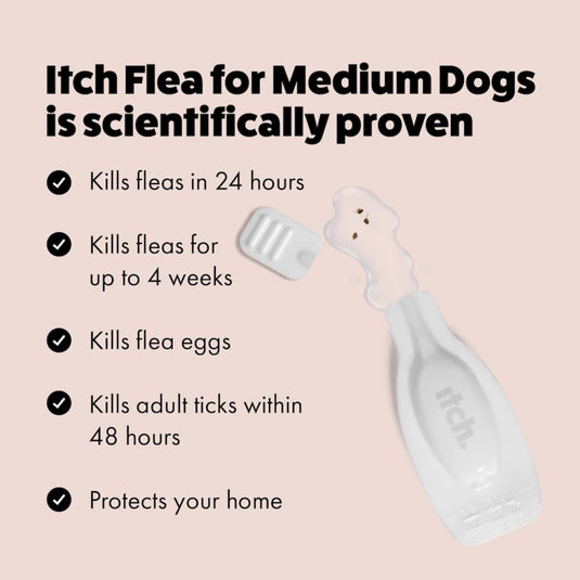 (N) Itch | Medium Dog Flea & Tick Treatment Spot-On Solution | Dogs 10kg