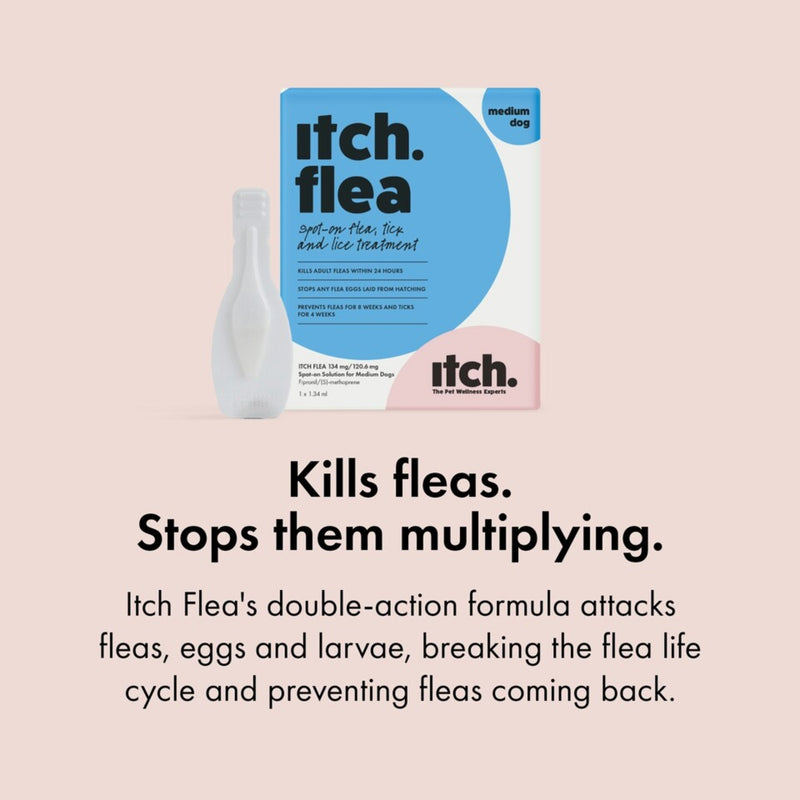 Load image into Gallery viewer, (N) Itch | Medium Dog Flea &amp; Tick Treatment Spot-On Solution | Dogs 10kg
