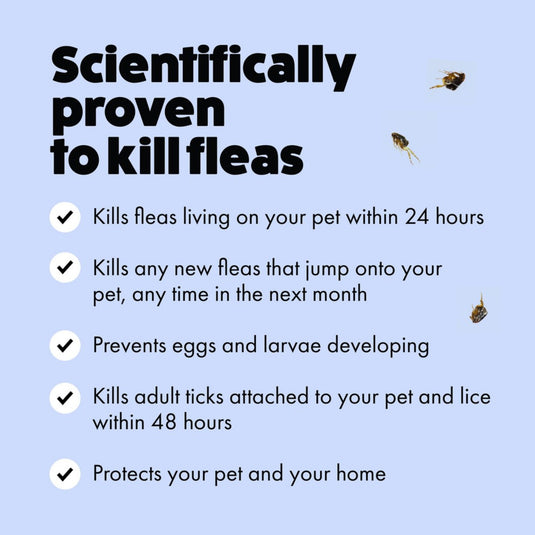 Itch Small Dog Flea & Tick Treatment Spot-On Solution | Dogs up to 10kg