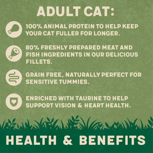 Harringtons Adult Cat Mixed in Jelly Wet Food 40x85g