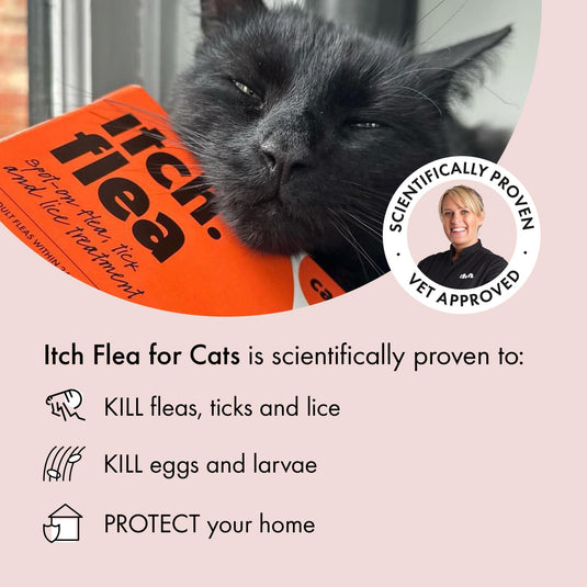 Itch | Flea & Tick Spot-on cats