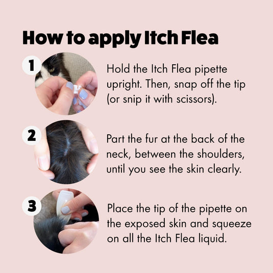 Itch | Flea & Tick Spot-on cats