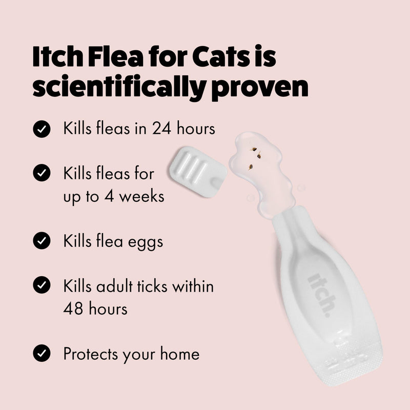 Load image into Gallery viewer, Itch | Flea &amp; Tick Spot-on cats

