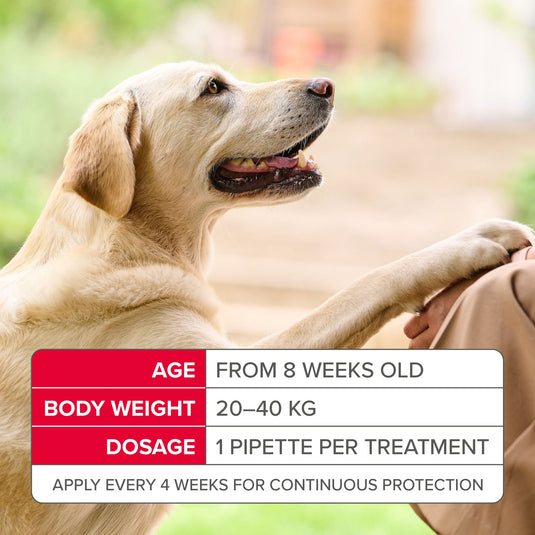Fiprotec Spot-On for Large Dogs (20–40kg) – 4 Pipettes
