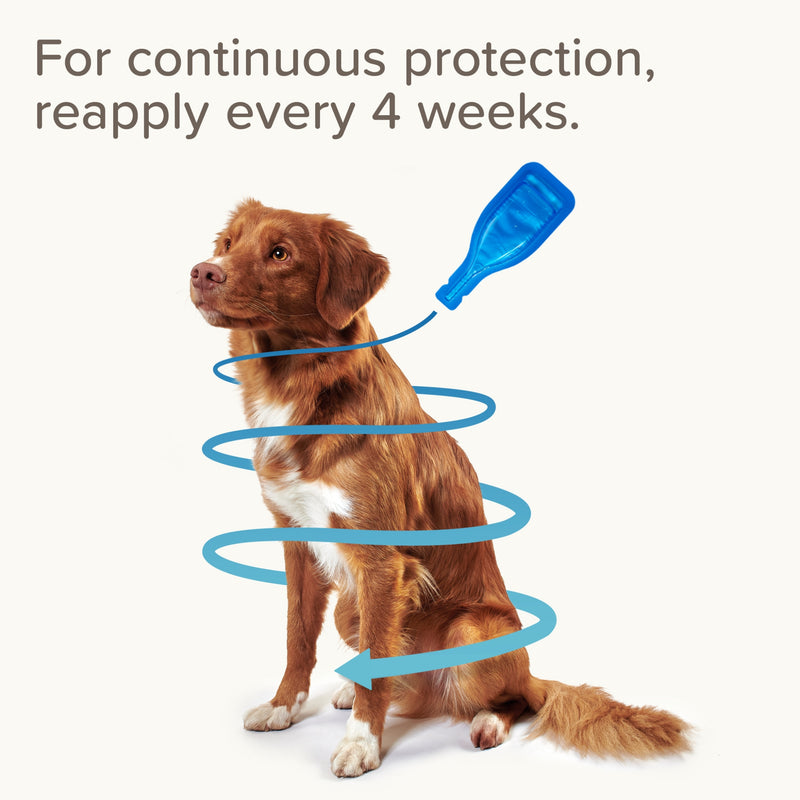 Load image into Gallery viewer, Fiprotec Spot-On for Large Dogs (20–40kg) – 4 Pipettes
