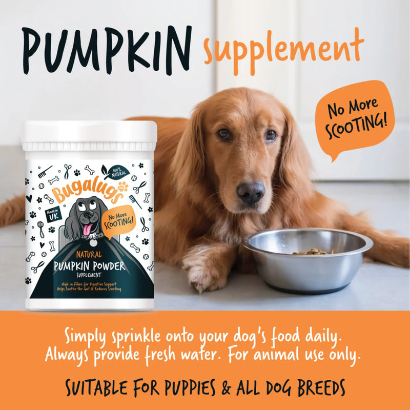 Load image into Gallery viewer, Bugalugs Pumpkin Powder for Dogs 200g
