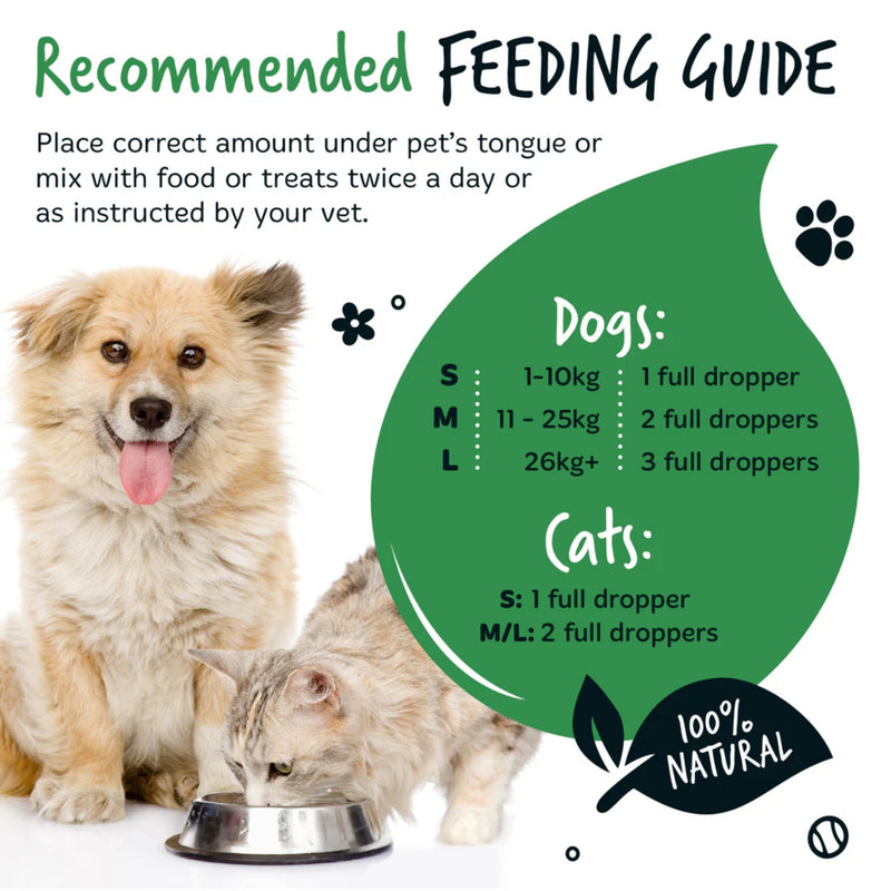 Load image into Gallery viewer, Bugalugs Organic Hemp Oil for Dogs &amp; Cats – 50ml
