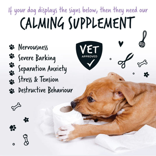 Bugalugs Calming Powder Supplement for Dogs – 80g