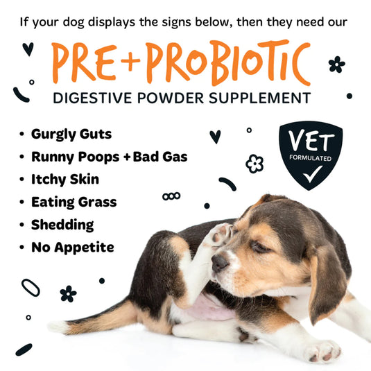 Bugalugs Pre & Probiotic Digestive Powder Supplement for Dogs – 80g