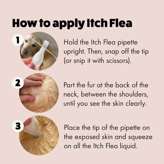 (N) Itch | Medium Dog Flea & Tick Treatment Spot-On Solution | Dogs 10kg
