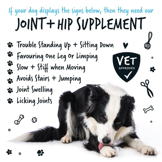 Bugalugs Joint & Hip Powder Supplement for Dogs 80g