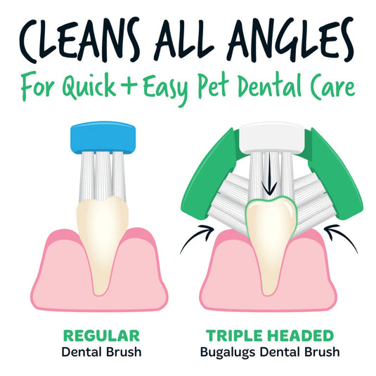 Bugalugs Triple Headed Dental Care Toothbrushes – Pack of 2 for Dogs & Cats