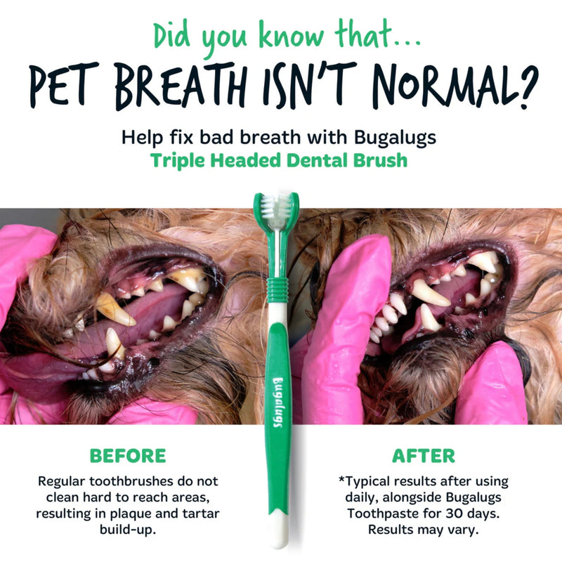 Load image into Gallery viewer, Bugalugs Triple Headed Dental Care Toothbrushes – Pack of 2 for Dogs &amp; Cats
